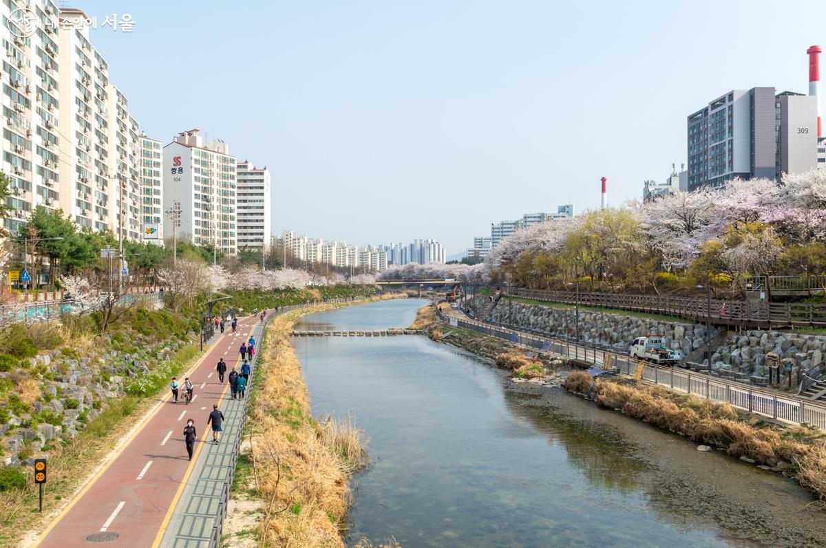 우이천은 '소귀봉(또는 우이봉)의 아래를 흐르는 하천'에서 이름이 비롯되었다. ⓒ이병문