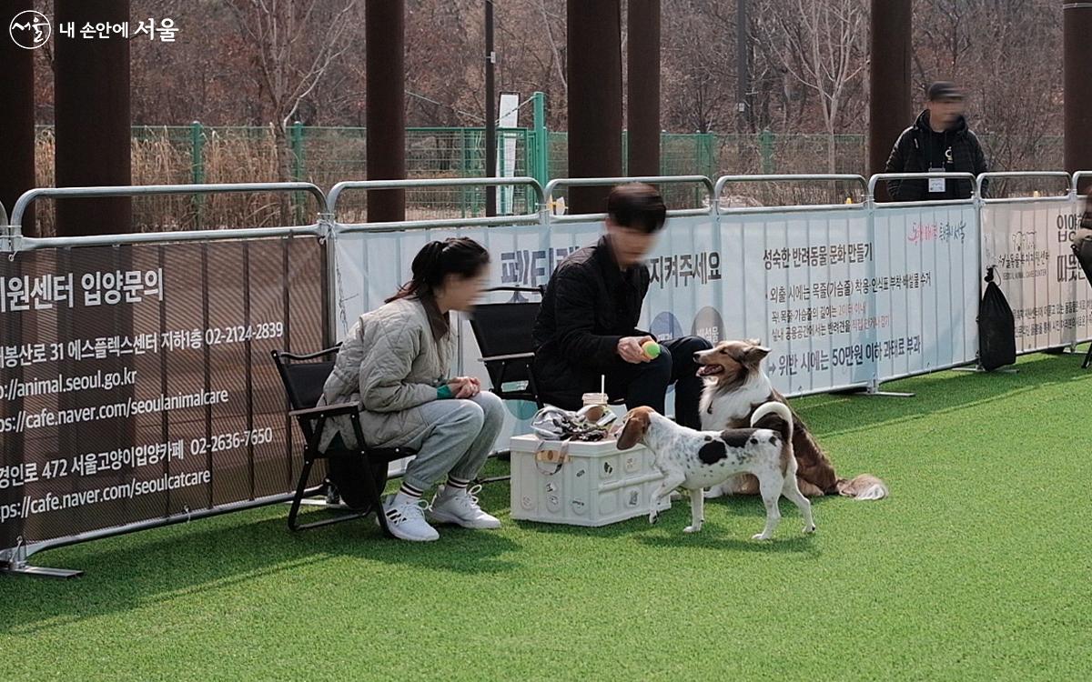 임시쉼터를 찾은 반려인과 반려견이 서로 배려하면서 공간을 이용하는 모습이 아름다웠다. ⓒ김아름