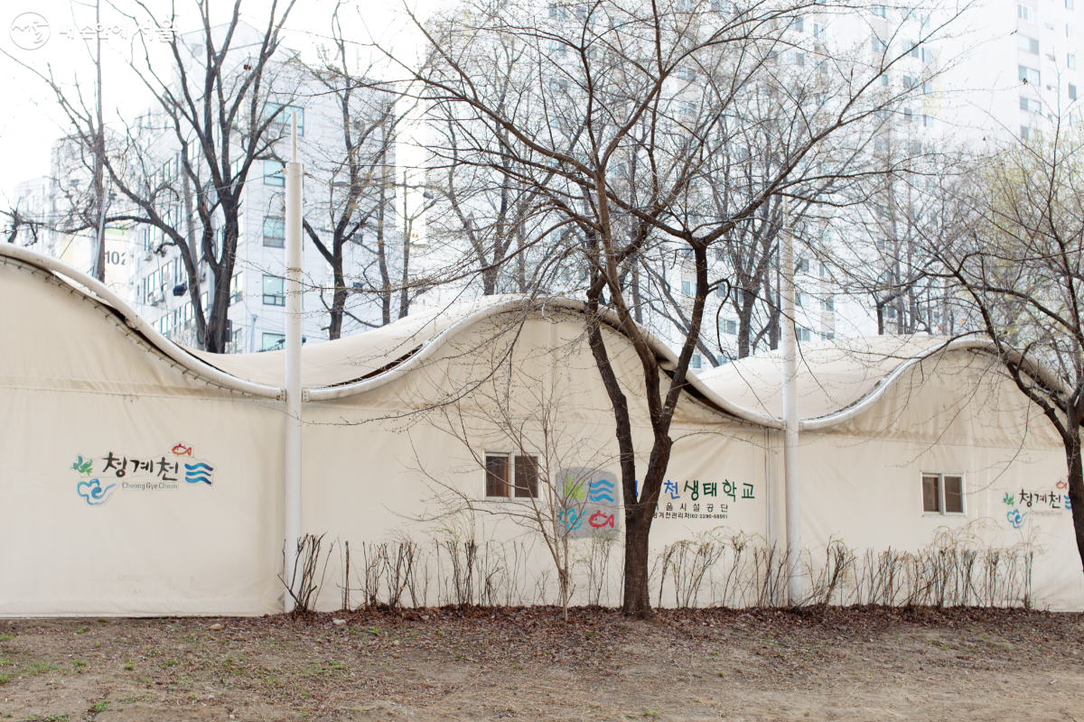 아이들에게 청계천의 동식물을 직접 관찰하고 체험할 수 있는 기회를 주는 ‘청계천 생태학교’ ©문청야