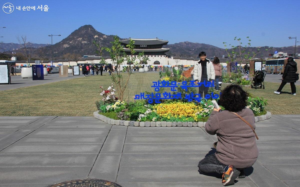 육조거리에 조성된 봄 내음 물씬 돋는 포토존은 광화문을 배경으로 그림 같은 풍경을 담을 수 있어 인기가 높다. ©엄윤주