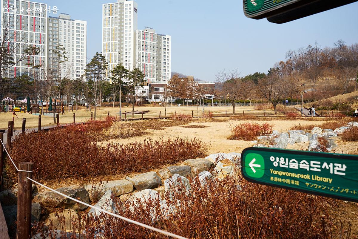 양원숲속도서관은 중랑캠핑숲 내에 자리하고 있다. ⓒ이정규