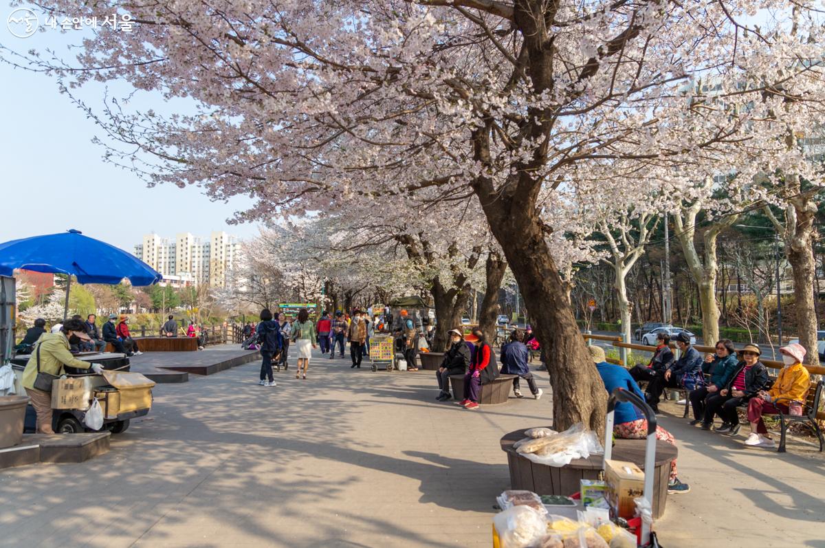 벚꽃 구경을 나온 시민들의 발길이 이어졌다. ⓒ이병문