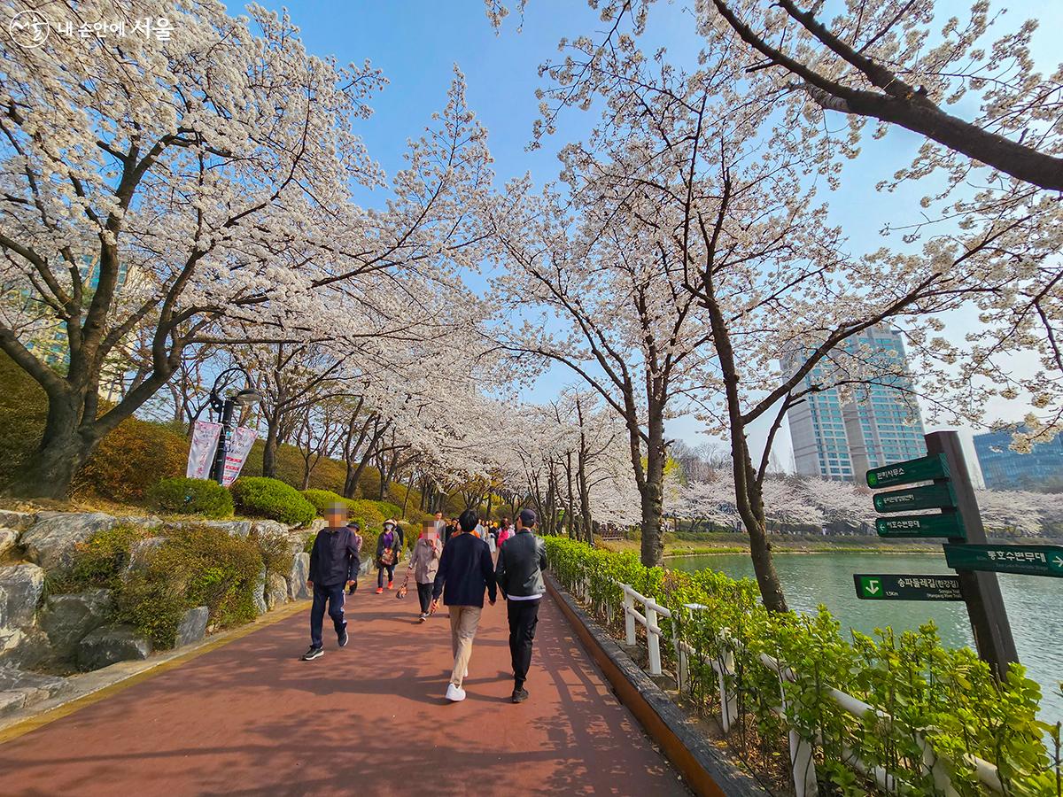 석촌호수 동호와 서호를 한 바퀴 도는 데에 약 1시간이 걸린다. ⓒ박원선