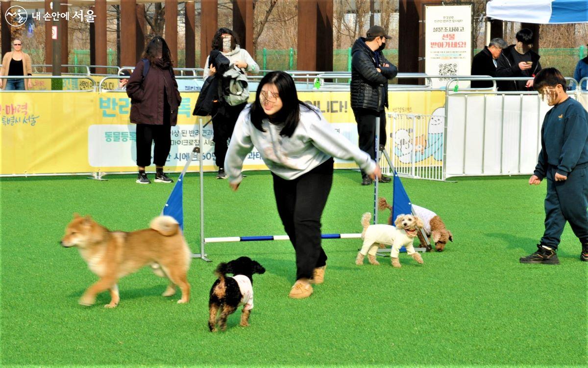 쉼터에서는 반려인, 반려견 모두가 즐거운 시간을 갖는다. ⓒ조수봉