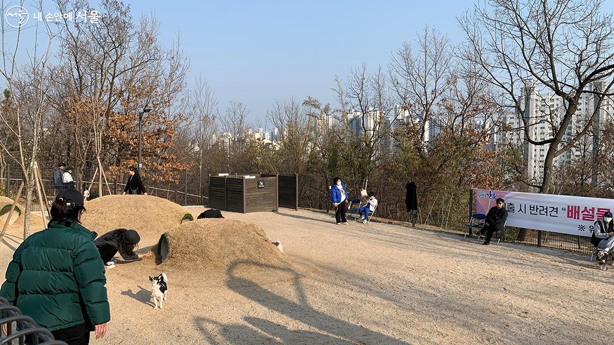 중·소형견 놀이터에는 터널이 있는 나지막한 언덕이 있다. ©김수정