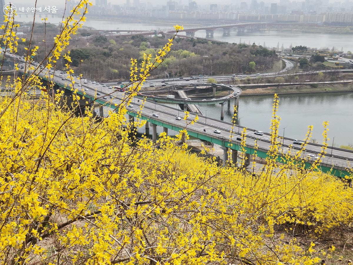 해발 84m 응봉산에서 바라본 한강과 서울숲 전경 ©조시승