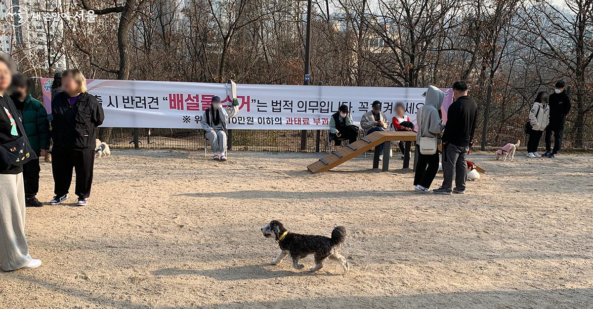 강북구 북서울꿈의숲에 위치한 반려견 놀이터 ©김수정