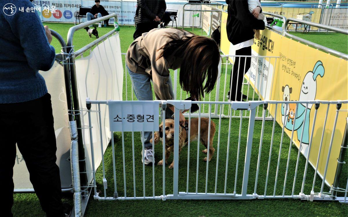 쉼터 운동장은 소·중형견과 대형견 운동장을 별도로 운영한다. ⓒ조수봉