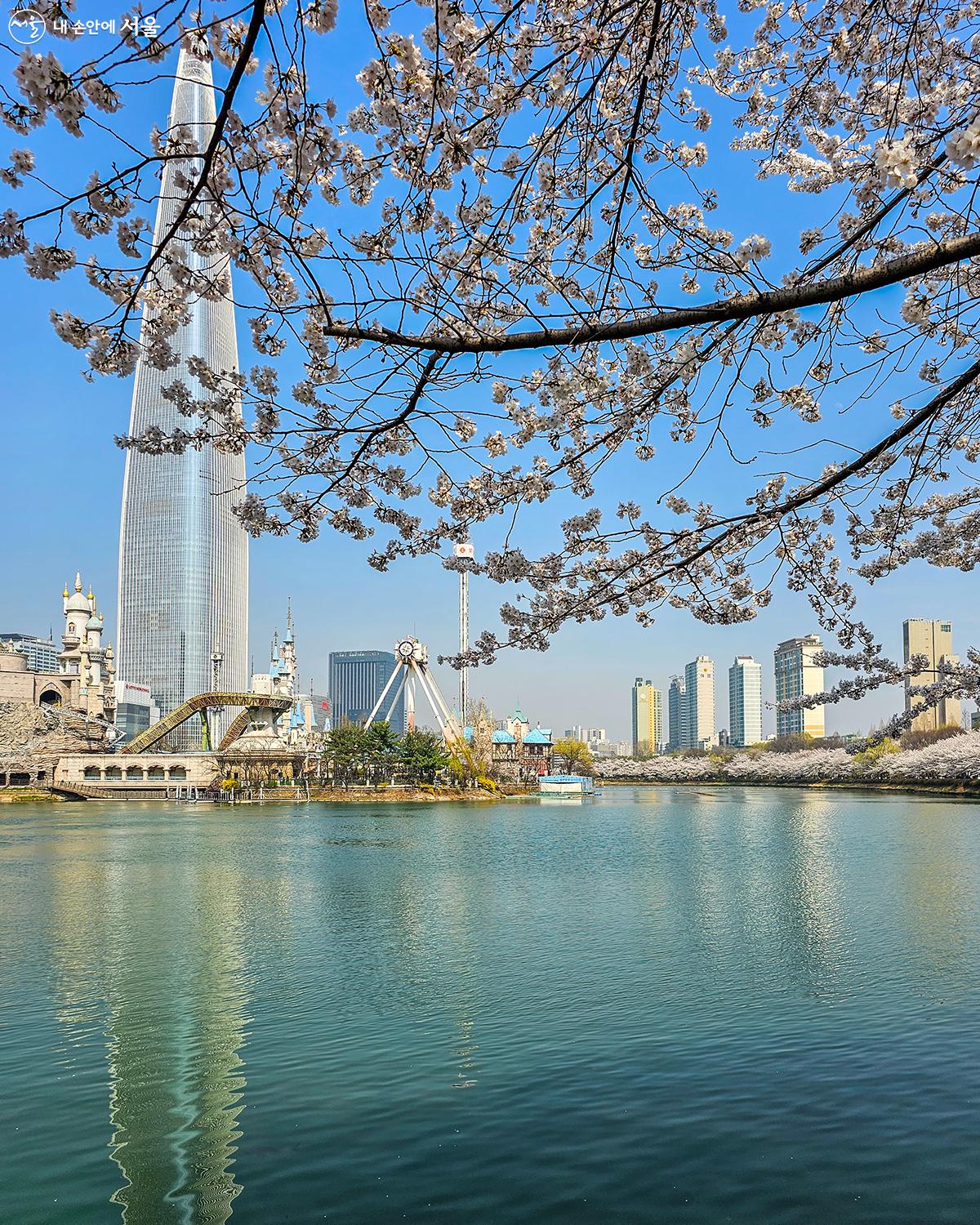 파란 하늘과 함께 벚꽃과 롯데타워가 호수에 반영된 모습 ⓒ유서경