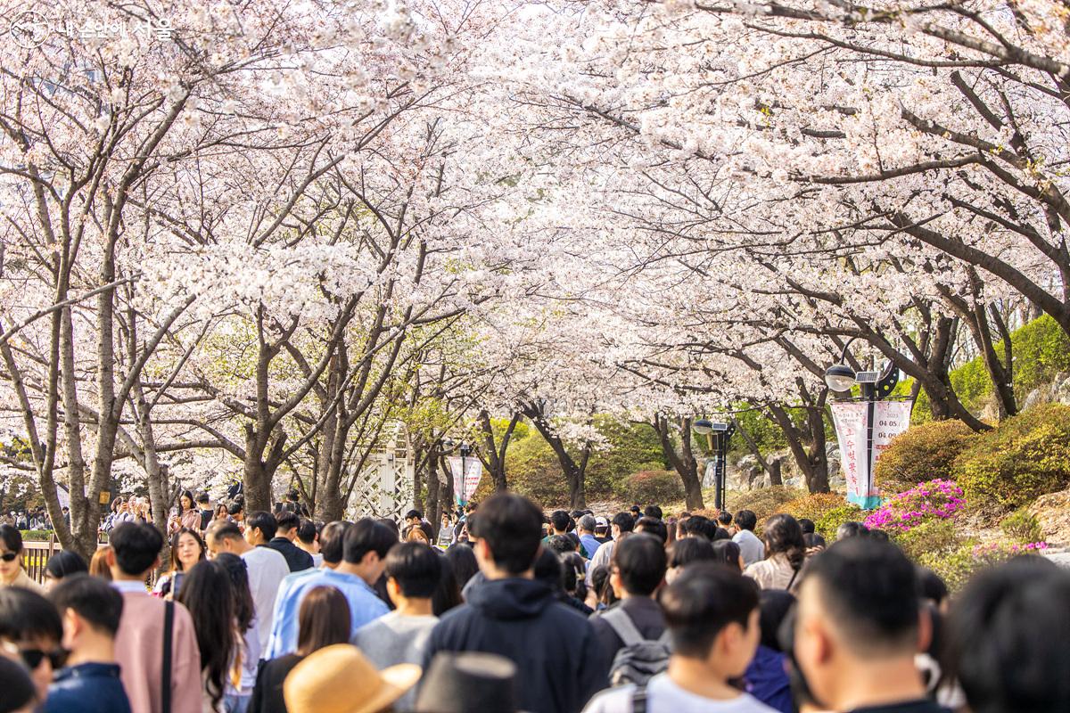 현장 안전요원들의 통제로 '한 방향 걷기'가 시행되었고, 많은 시민들과 관광객들도 통제에 따라 질서정연하게 움직였다. ⓒ임중빈