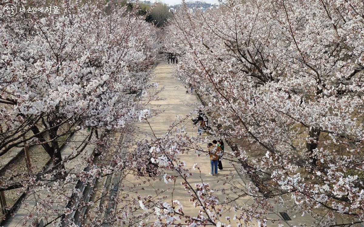 바람의언덕 위에서 아래를 내려다본 모습 ⓒ홍혜수