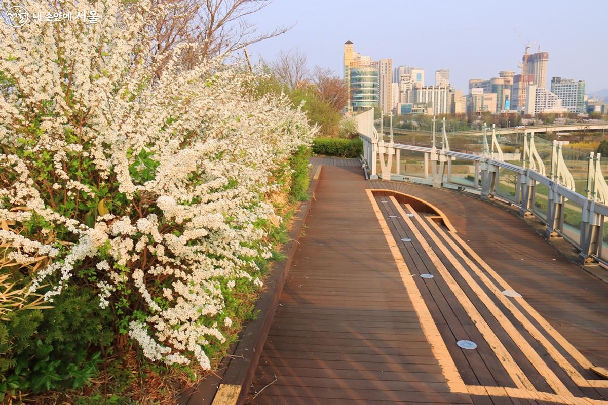 도보로 접근 할 수 있는 ‘광진교’에는 다양한 꽃과 나무가 조성된 음악 벤치와 포토존 등이 마련돼 있다. ⓒ정향선