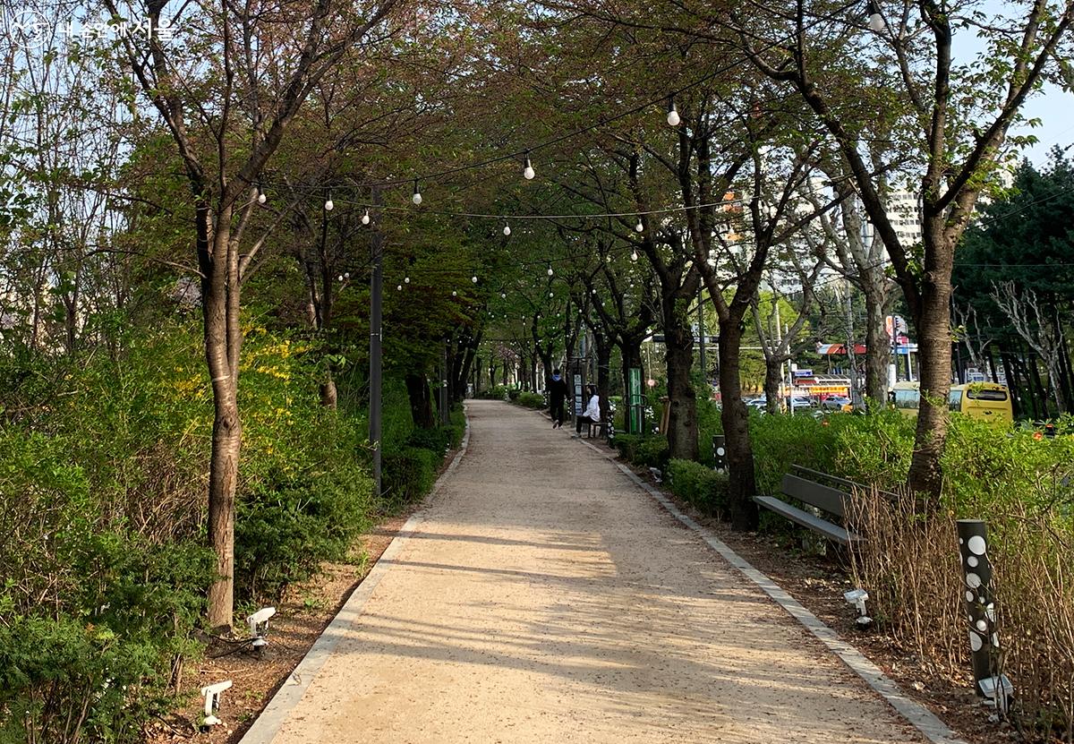 야간에 불을 비출 조명등 ⓒ김수정