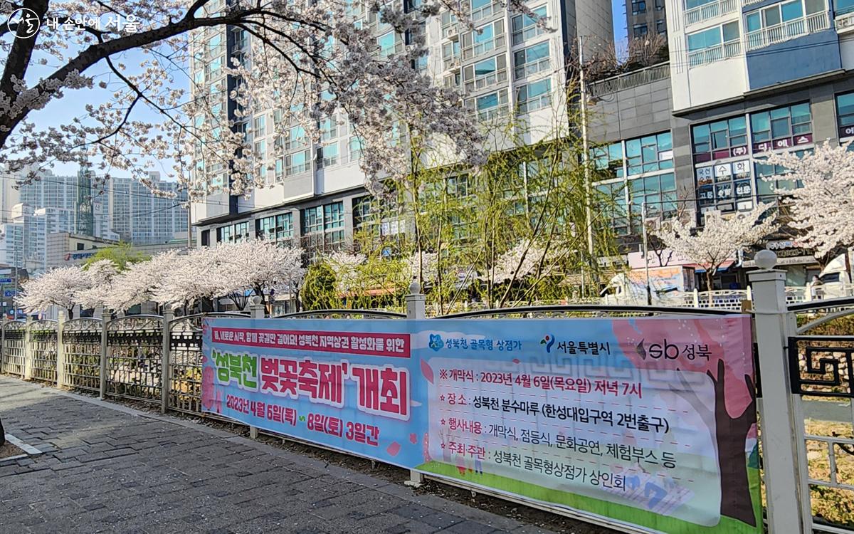 벚꽃이 만개한 성북천 벚꽃축제 ©김미선