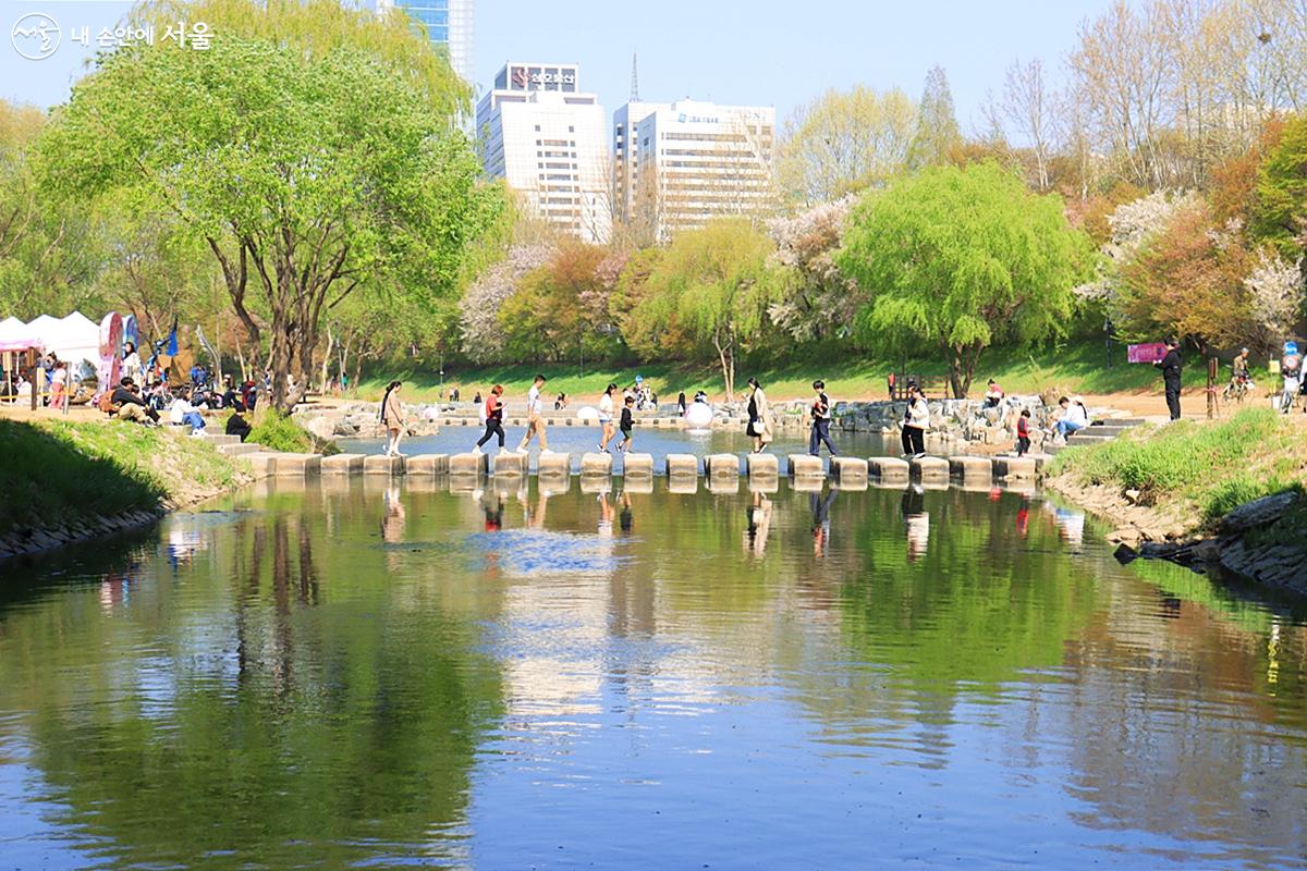 강남의 도심을 가로지르는 양재천. 벚꽃뿐 아니라 초록의 나뭇잎들이 미소 짓는 4월에 만난 봄맞이 행사는 무척이나 즐겁고 재미있는 시간을 선사했다. ©정향선