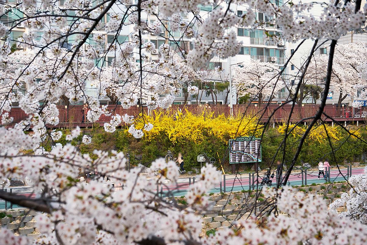 우이천변은 평소에도 동네 주민들이 산책과 운동을 위해 즐겨 찾는 곳이다. ⓒ이정규