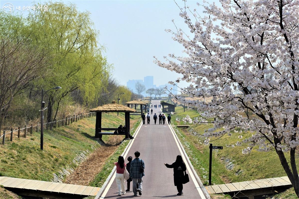 하늘공원 오두막에서 옹기종기 모여앉아 휴식을 취하거나 여유로운 산책을 즐기는 시민들 ©이봉덕