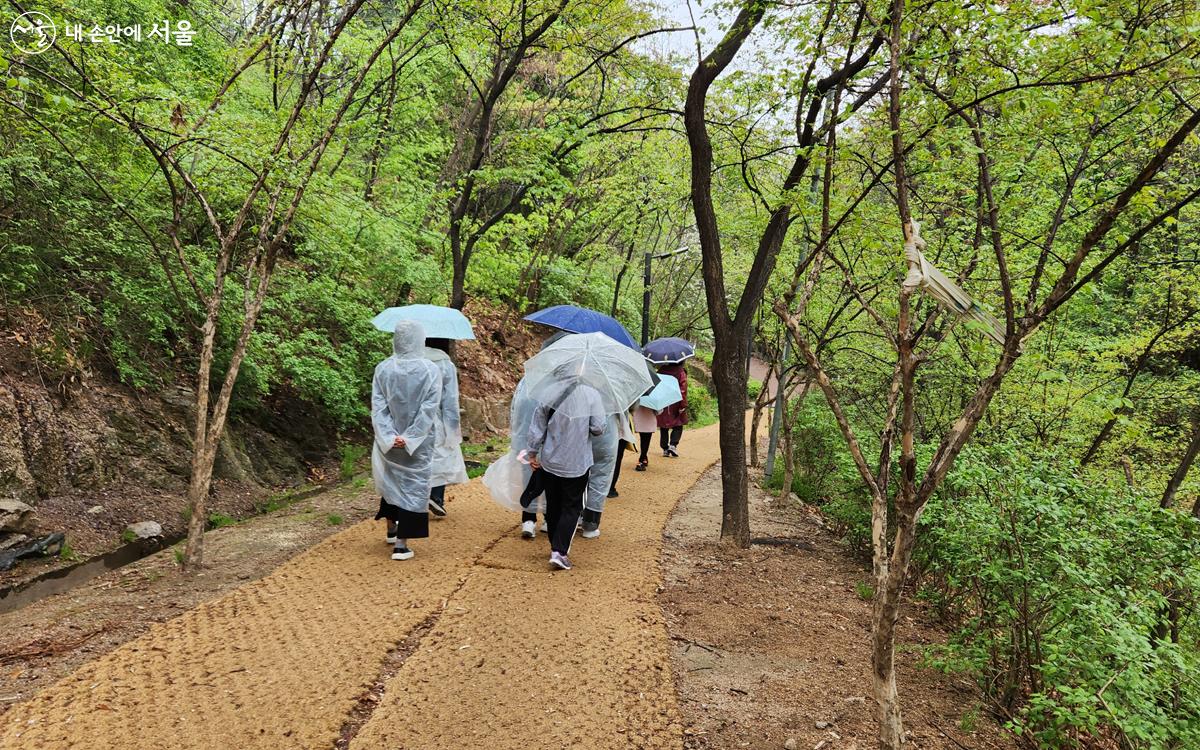 대화를 나누기보다는 걸으면서 명상의 시간을 보냈다. ⓒ김미선