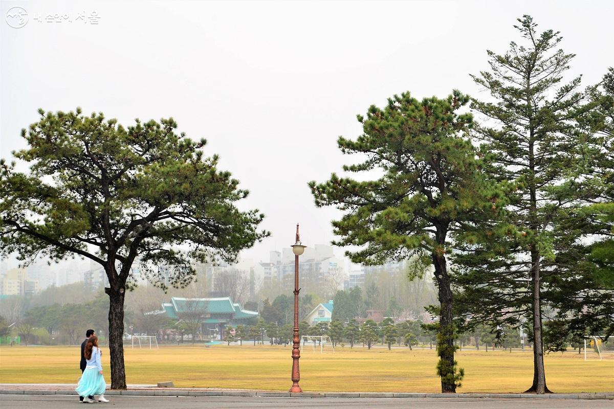 육군사관학교 체련장. 뒤편으로 학교 정문과 화랑대철도공원이 자리하고 있다. ©이봉덕