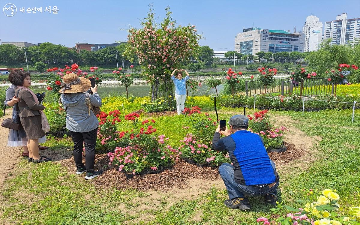 중랑장미공원에 마련된 포토존 ⓒ홍지영