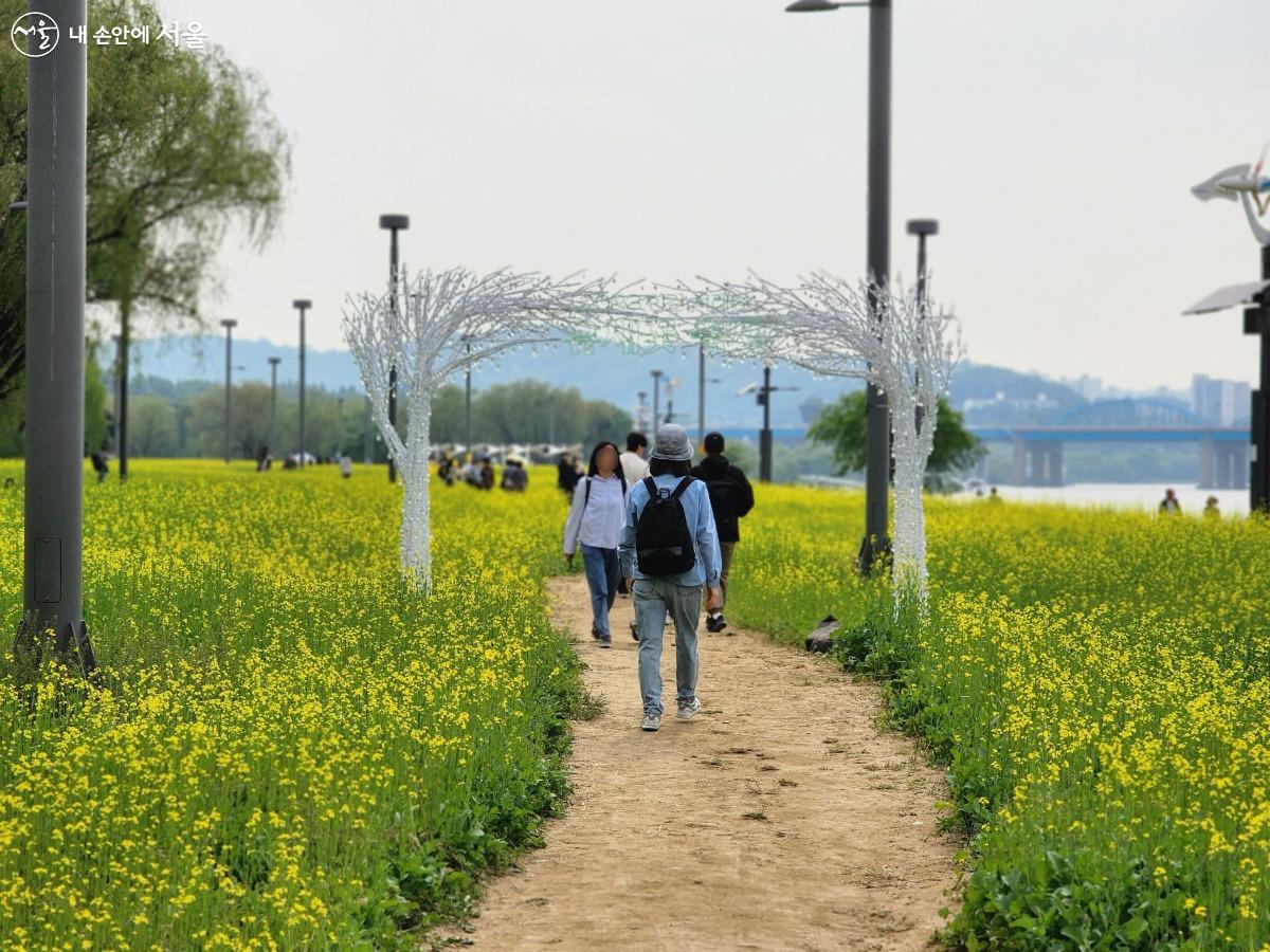 야간에도 이용할 수 있도록 LED 조명 장식이 마련되어 있다. 