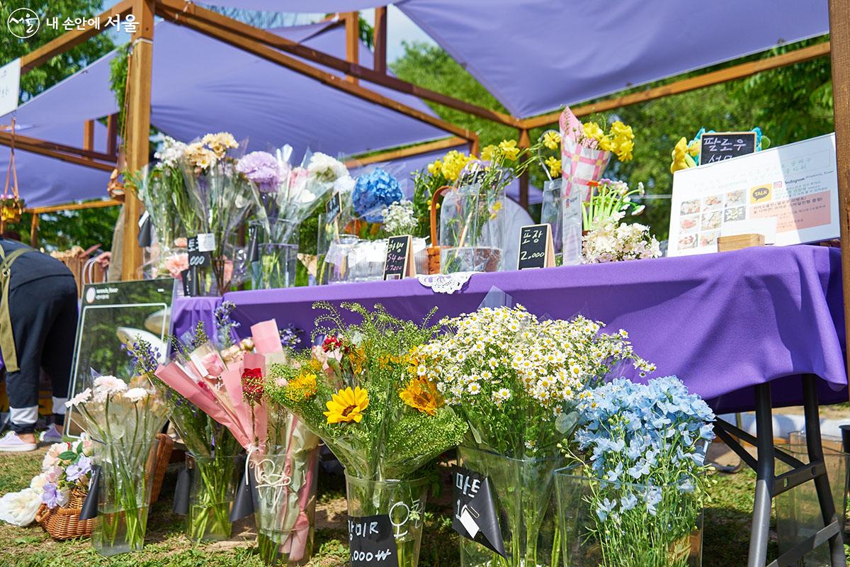 반려식물과 절화 등을 판매하는 꽃 플리마켓과 다양한 장르의 공연이 펼쳐지는 버스킹도 주말에 운영된다. ⓒ이정규