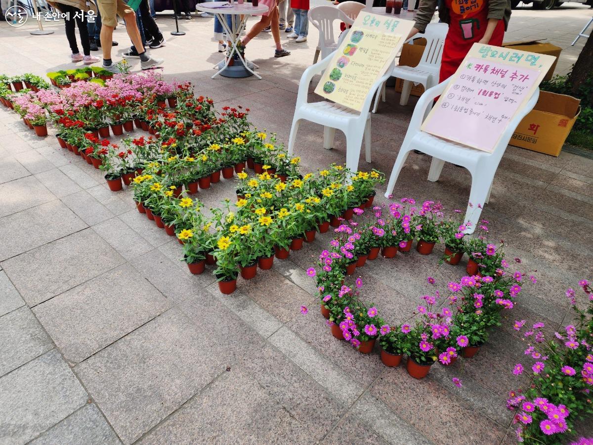 5가지 종류의 꽃 화분이 250여 명의 서울시민의 품에 안겼다