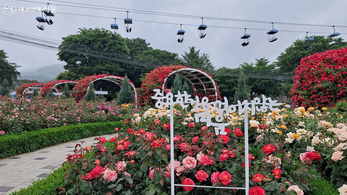 ‘중요한 것은 꺾이지 않는 마음’이라는 문구 앞도 인기 있는 포토존이다. ©이선미