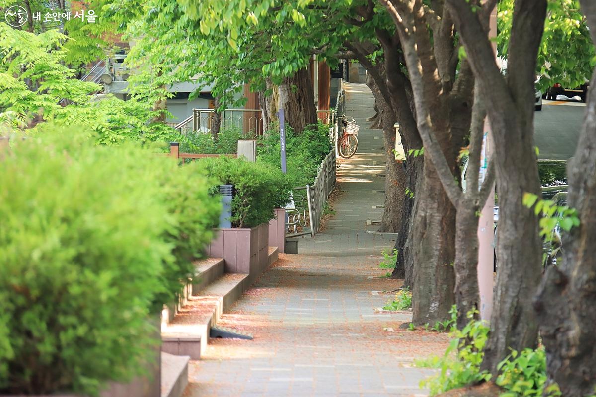 광진교 가는 골목길. 봄이 내려앉은 듯한 따사로운 풍경이 아름답다. ⓒ정향선