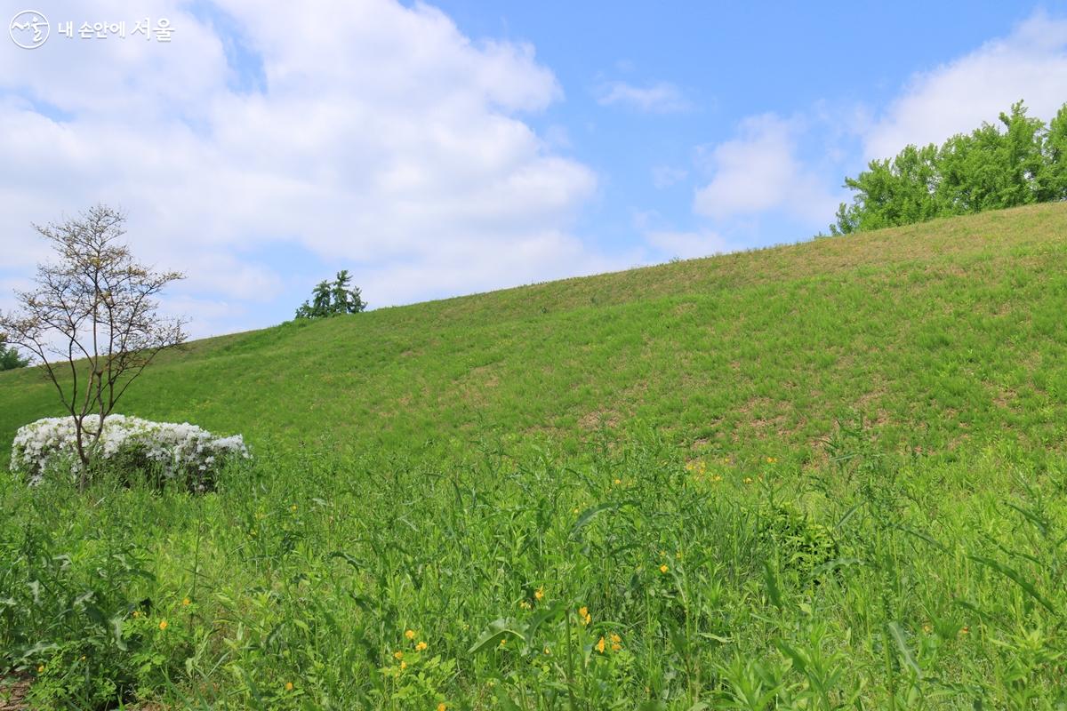 초기 백제의 성곽 풍납토성은 원래 둘레 3.5km로 추정되나 현재 2.1km 정도 남아있다. ⓒ정향선