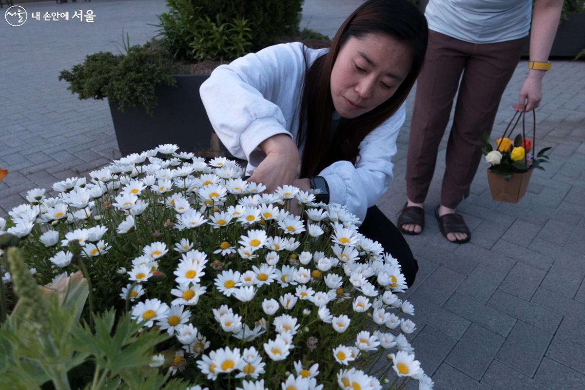 숲문화학교 앞 커다란 화분에 담긴 꽃을 꽃꽂이 하기 위해 줄기 자르는 방법을 교육 중인 休(휴)정원 장명화 강사 ©김인수 