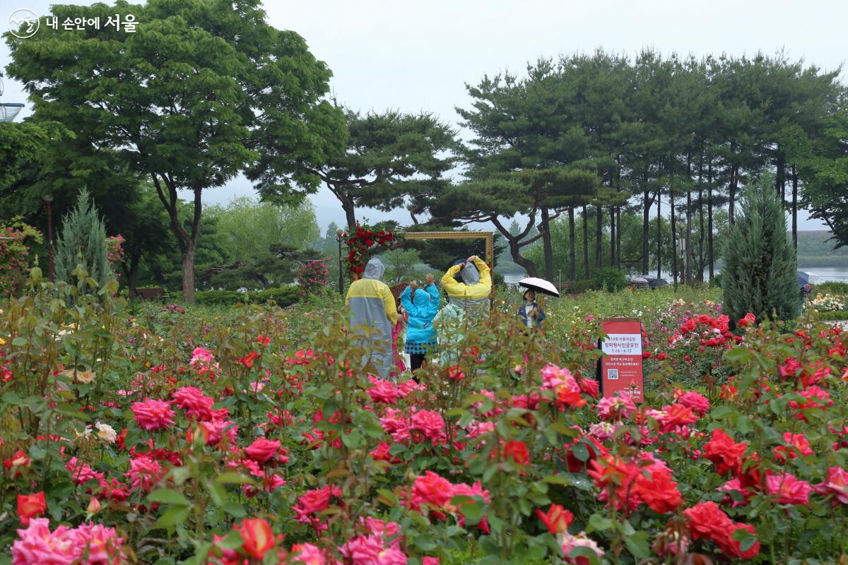 사진놀이터의 한 곳인 액자 프레임은 비가 내리는 가운데에도 인기가 많았다. ©이선미