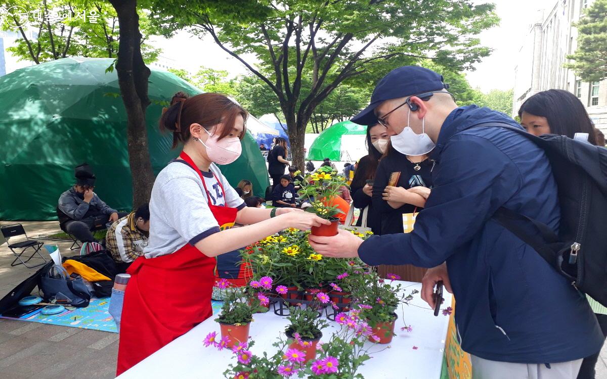 사계소국, 백일홍, 다이시아, 페퍼민트, 초코민트 등이 선착순으로 제공됐다. ©엄윤주