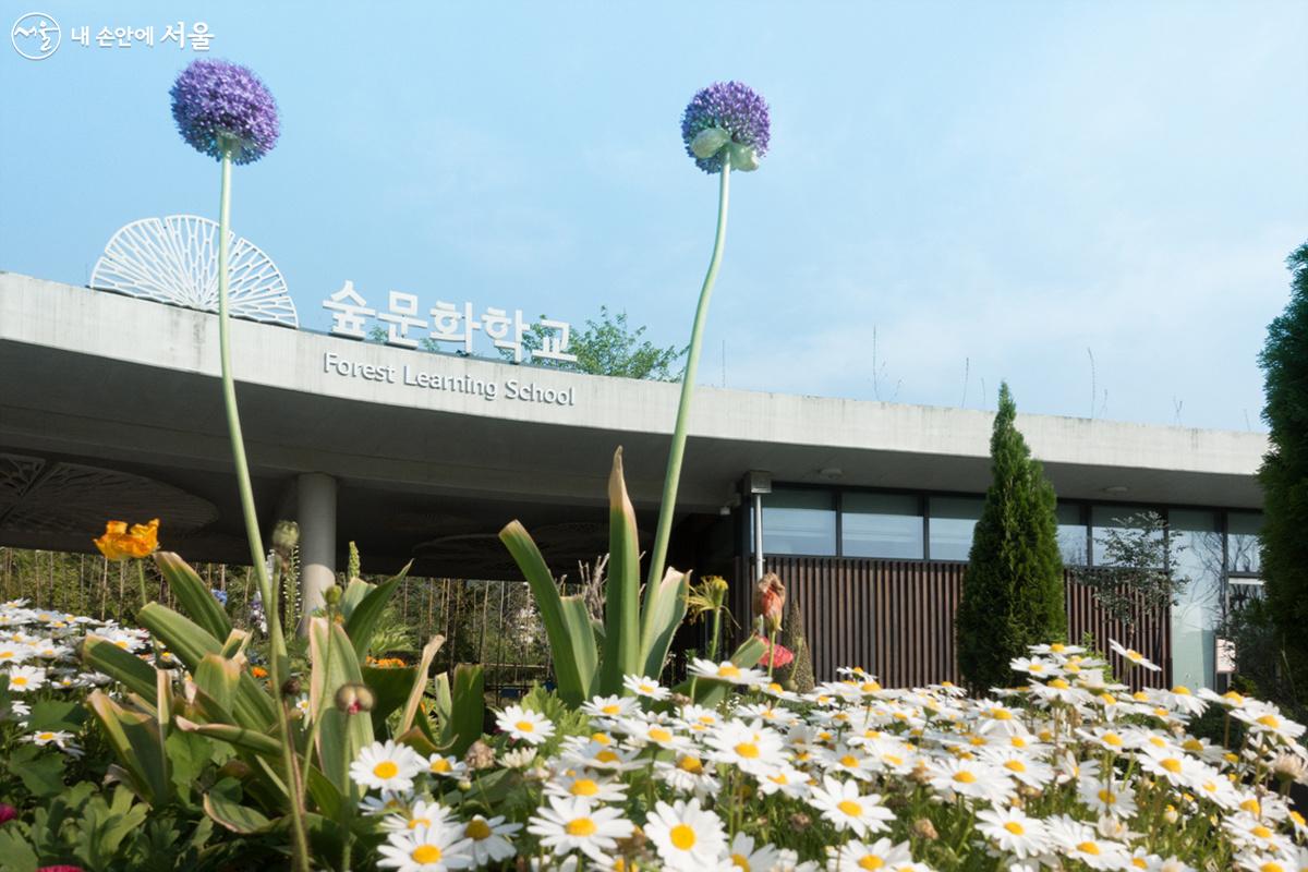 '休(휴)정원 꽃꽂이' 프로그램이 진행되는 숲문화학교 ©김인수 