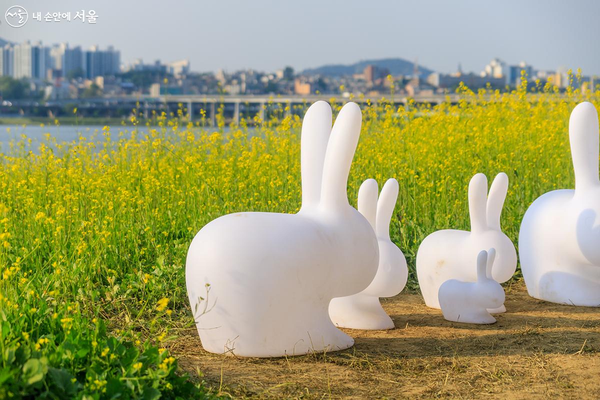 하얀 토끼가족과 함께 하는 귀여운 포토존 ⓒ유서경