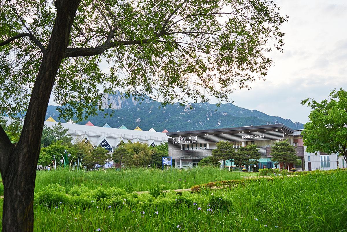 서울창포원은 서울 강북의 끝자락인 도봉산과 수락산 사이에 있는 특수 식물원이자 생태공원이다. ⓒ이정규