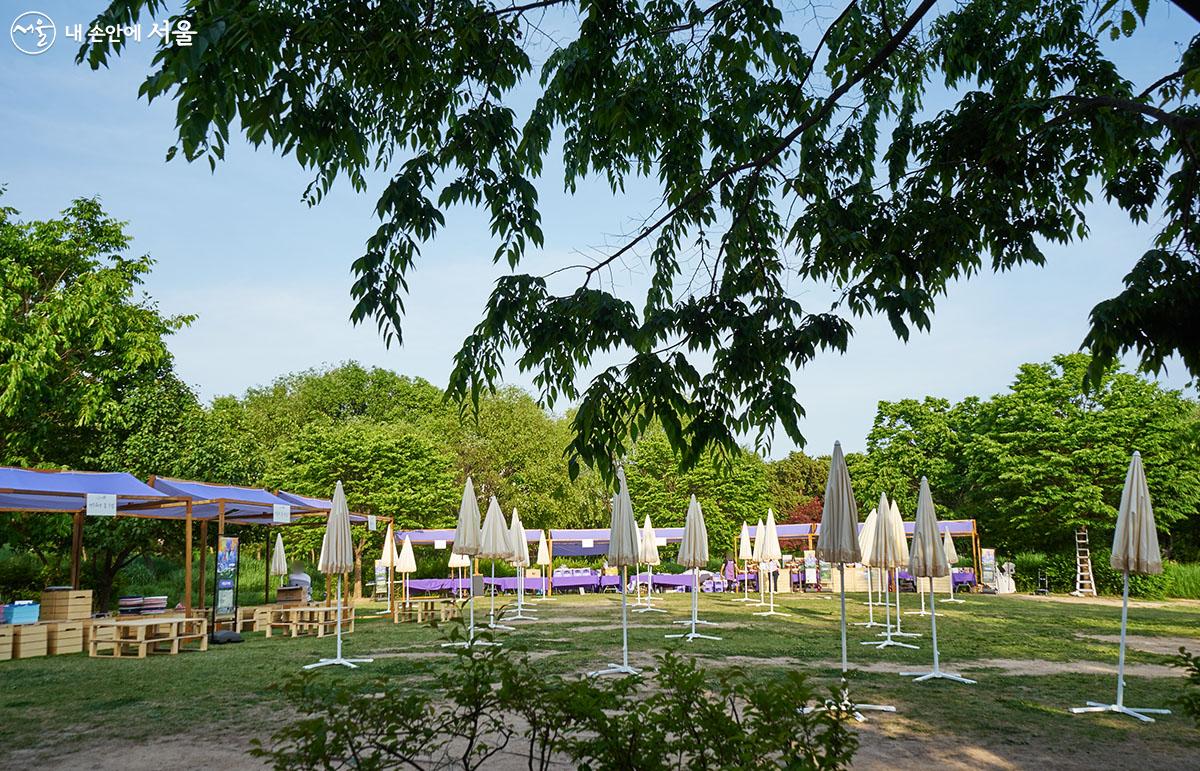 공원 내 잔디마당에는 공원 카페가 10시~17시까지 운영되며 주말에는 체험 카페와 버스킹 공연, 꽃 플리마켓도 함께 운영된다. ⓒ이정규