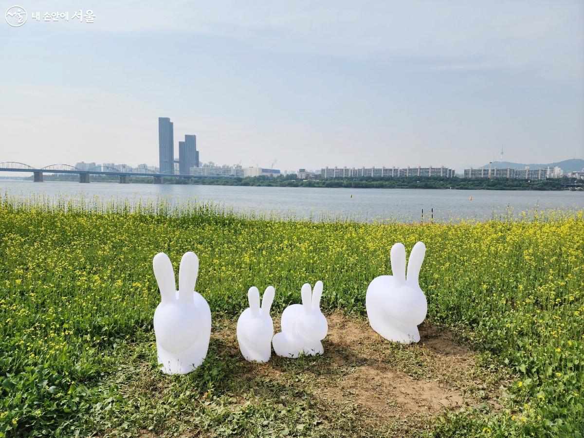 토키 포토존은 어린 아이를 동반한 가족들에게 인기 있는 곳이다. 