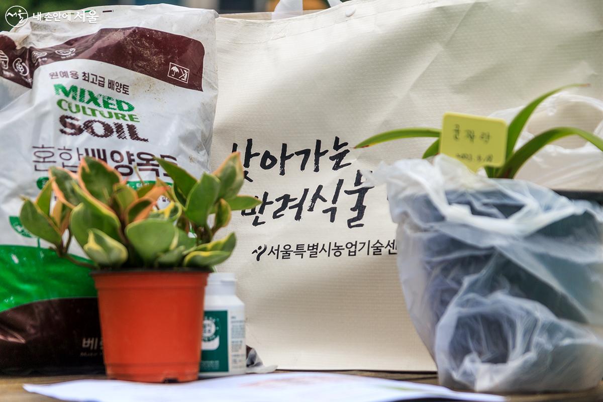 상품으로 제공받은 배양토와 영양제, 호야 화분 ©유서경