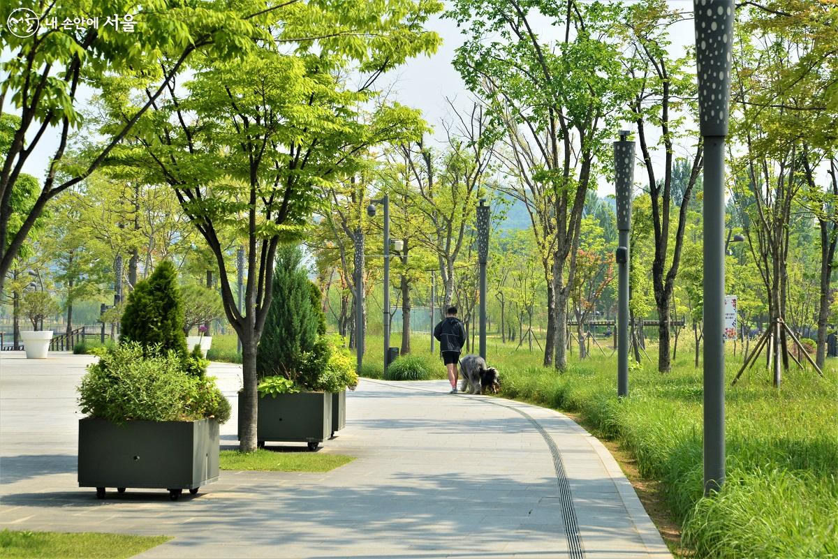 서울식물원 옆린숲 봄 산책길을 걸으며 봄날을 만끽하는 시민들 ©이봉덕 