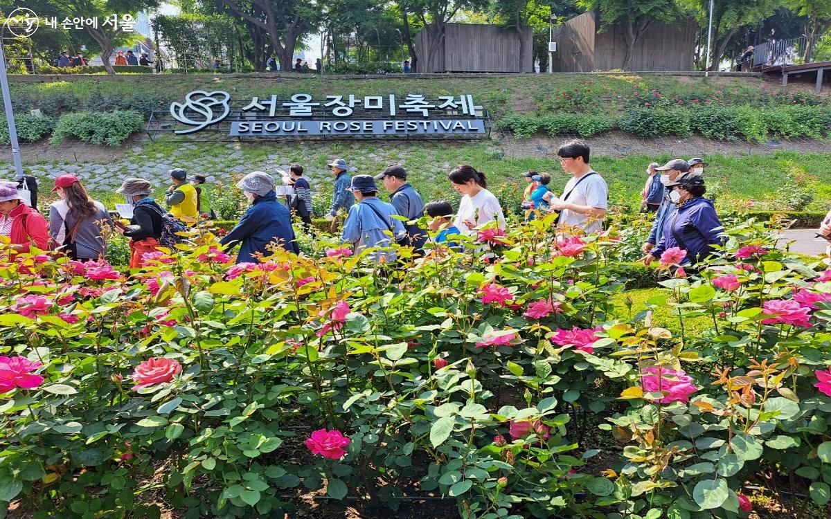 서울장미축제가 열리는 중랑구 장미공원에서 시민들이 장미꽃을 즐기는 모습 ⓒ홍지영