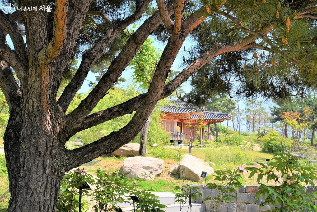 여백의 미를 간직하고 있는 한국의 전통정원, 풍광과 잘 어우러지는 곳에 정자를 세우는 선조들의 멋을 느낄 수 있다. ©이봉덕