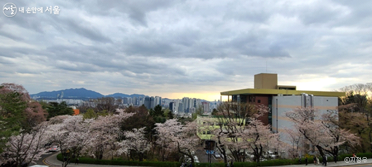 건축가 이해성의 남산도서관. 콘크리트로 수평성이 강조되었다.