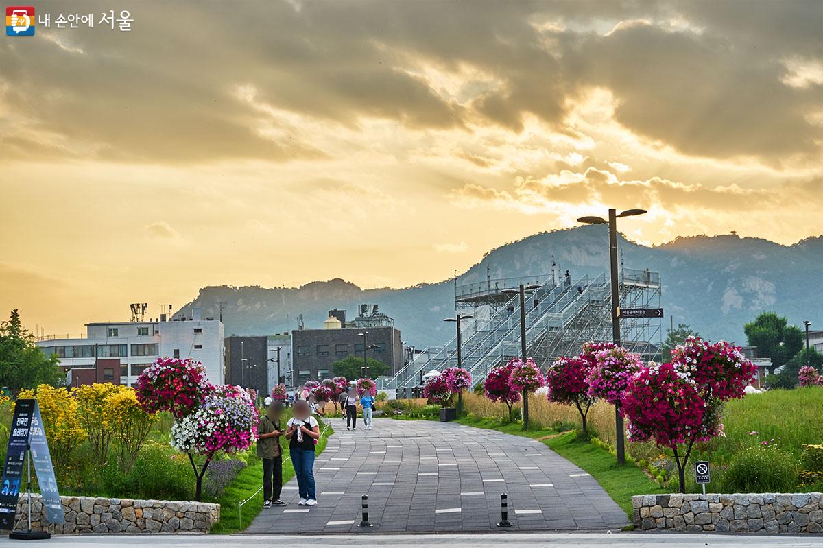 인왕산 너머 지는 해가 만드는 여름 노을을 카메라에 담으며 장차 도래할 송현문화공원의 모습을 그려 본다. ⓒ이정규