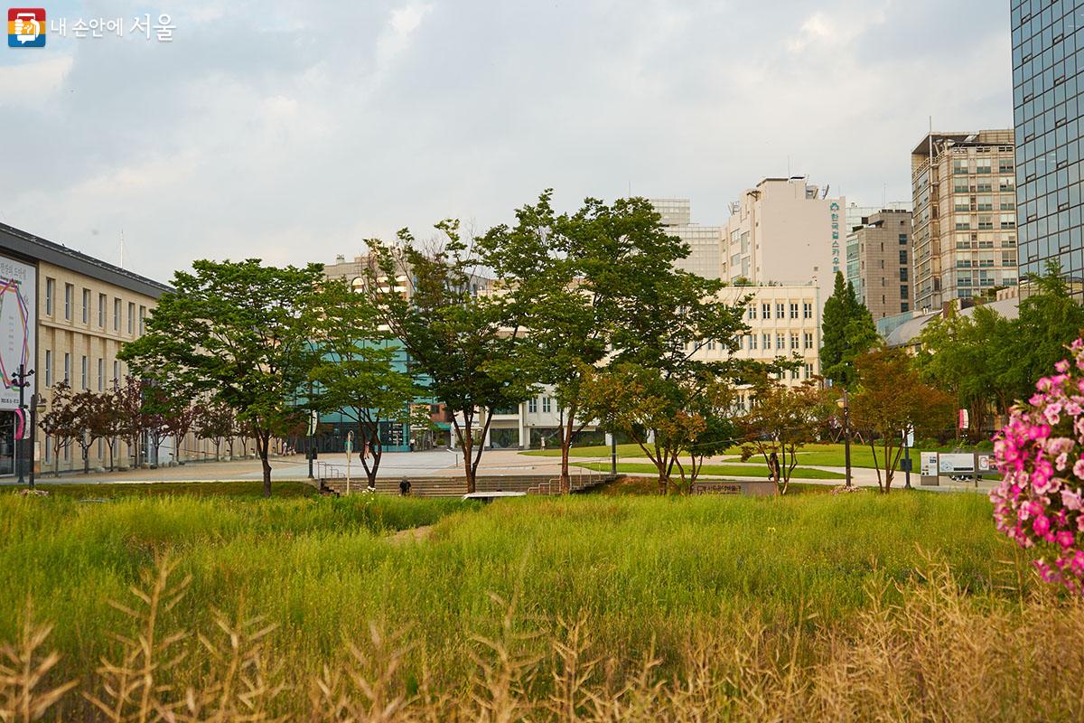 무성한 들풀 너머로 여름 노을의 황금빛 광선에 물들기 시작한 서울공예박물관이 보인다. ⓒ이정규