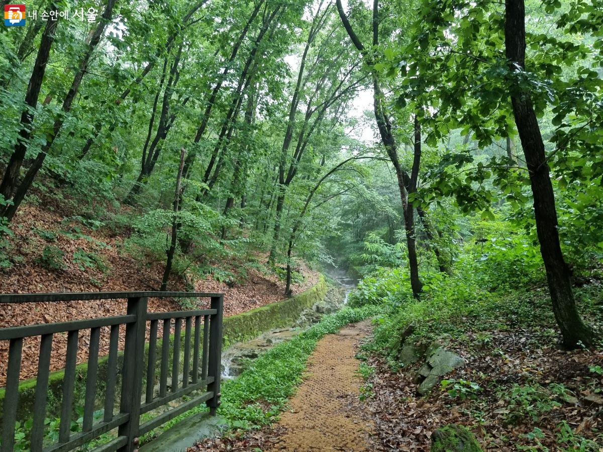 치유의 숲길을 걸어보자! ⓒ김지원