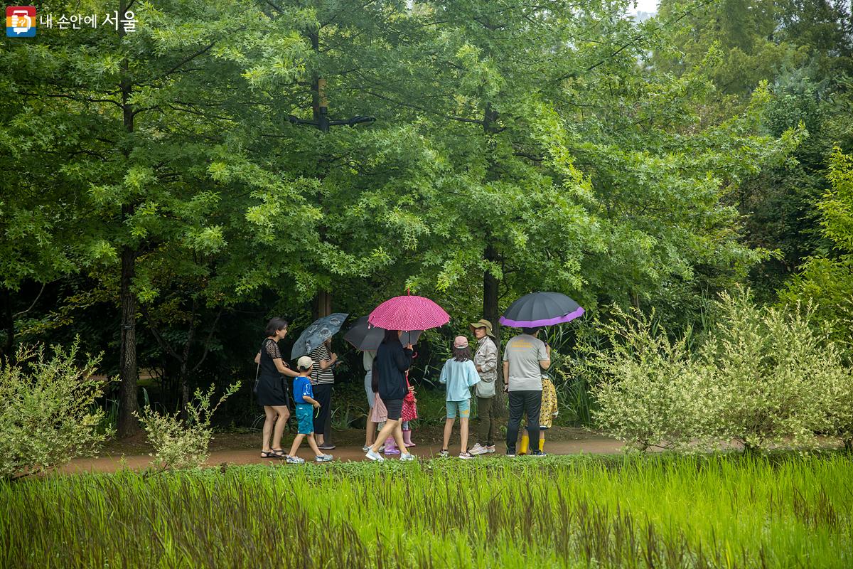 수생식물원 외에도 곳곳의 산책로를 걸으며 숨겨져 있는 특수한 종의 연꽃을 발견하는 시간도 가졌다. ⓒ임중빈