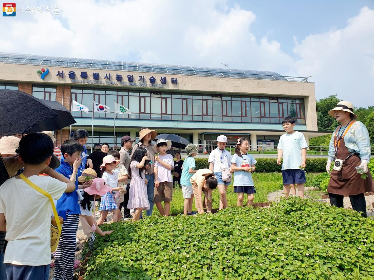 서초구 내곡동에 위치한 서울시농업기술센터에서는 다양한 자연체험 프로그램을 운영한다. ⓒ방금숙