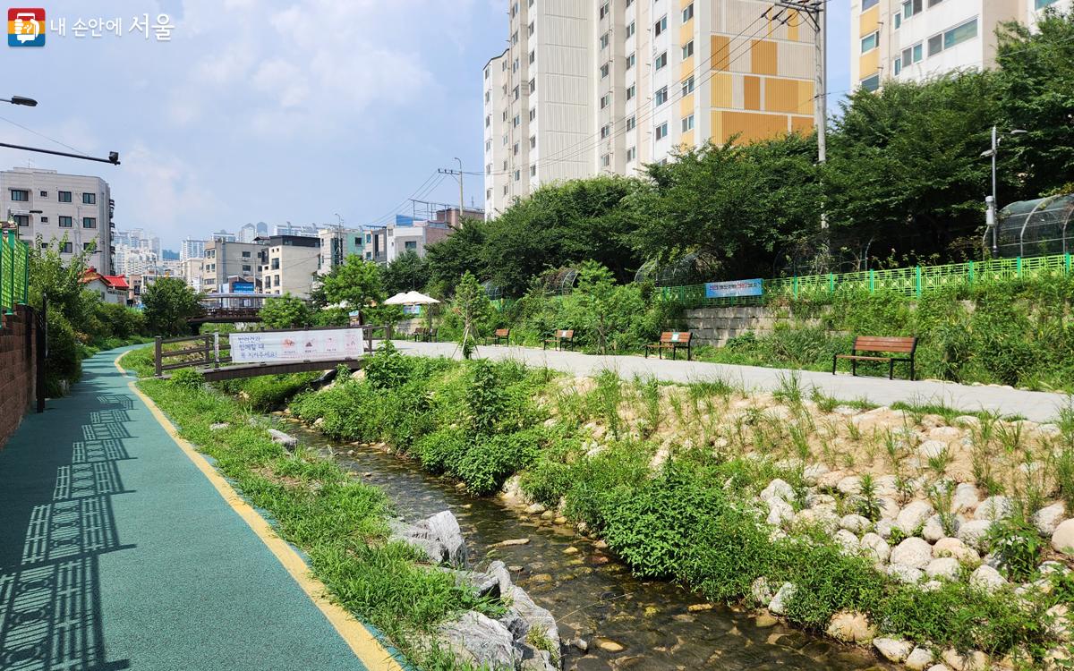 정릉천 하류에 모래톱이 쌓여 만들어진 개울섬은 환경 개선 공사를 통해 정리됐다. ©김미선