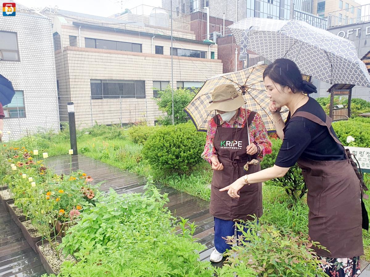 한국치유환경연구소 백현진 대표(사진 오른쪽)가 허브를 소개하고 있다. ©방금숙